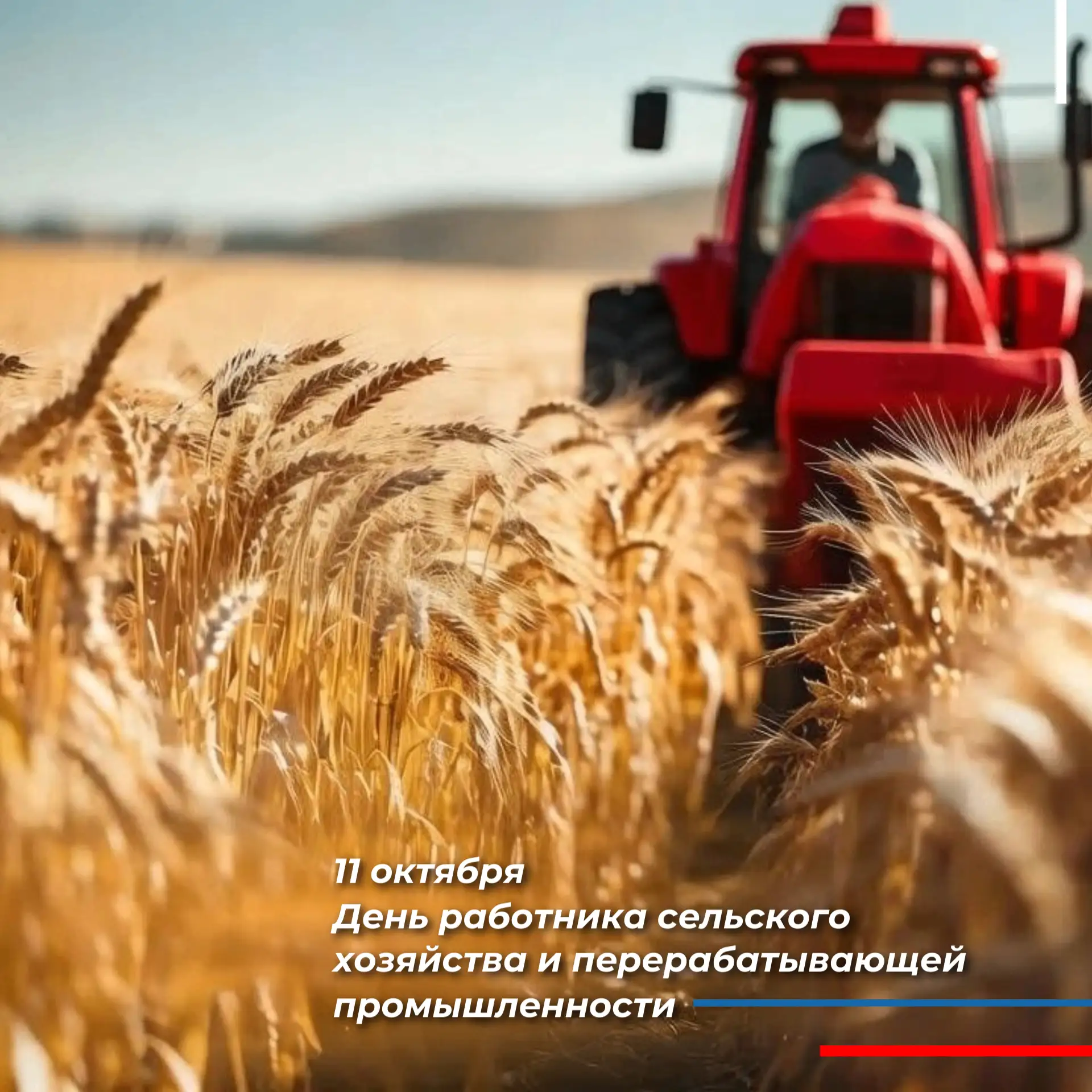 🌾🍞За каждым хорошим урожаем, за каждым куском свежего хлеба, за каждой банкой ароматн...