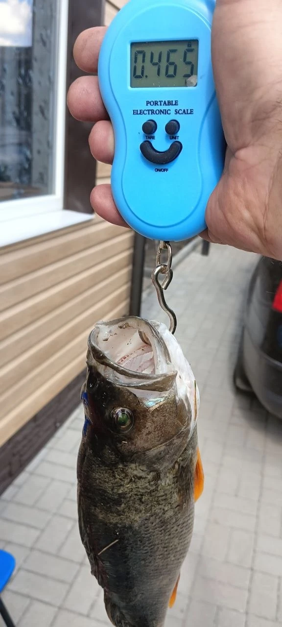 Донецкое море сегодня с 5.30 до 10.00
