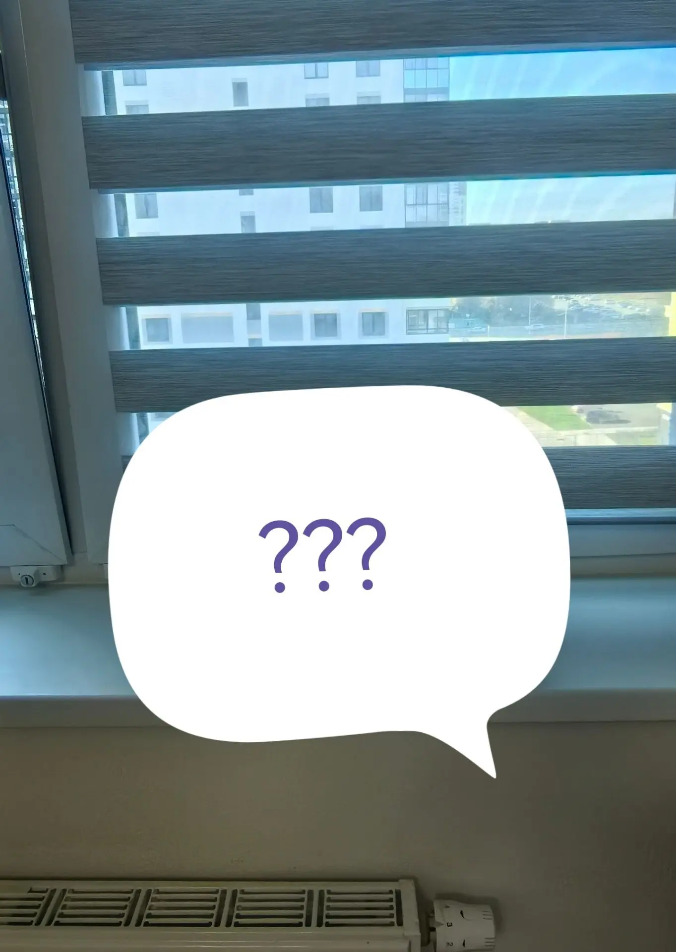 Отгадайте загадку: что на подоконнике нутрициолога? 😉😉