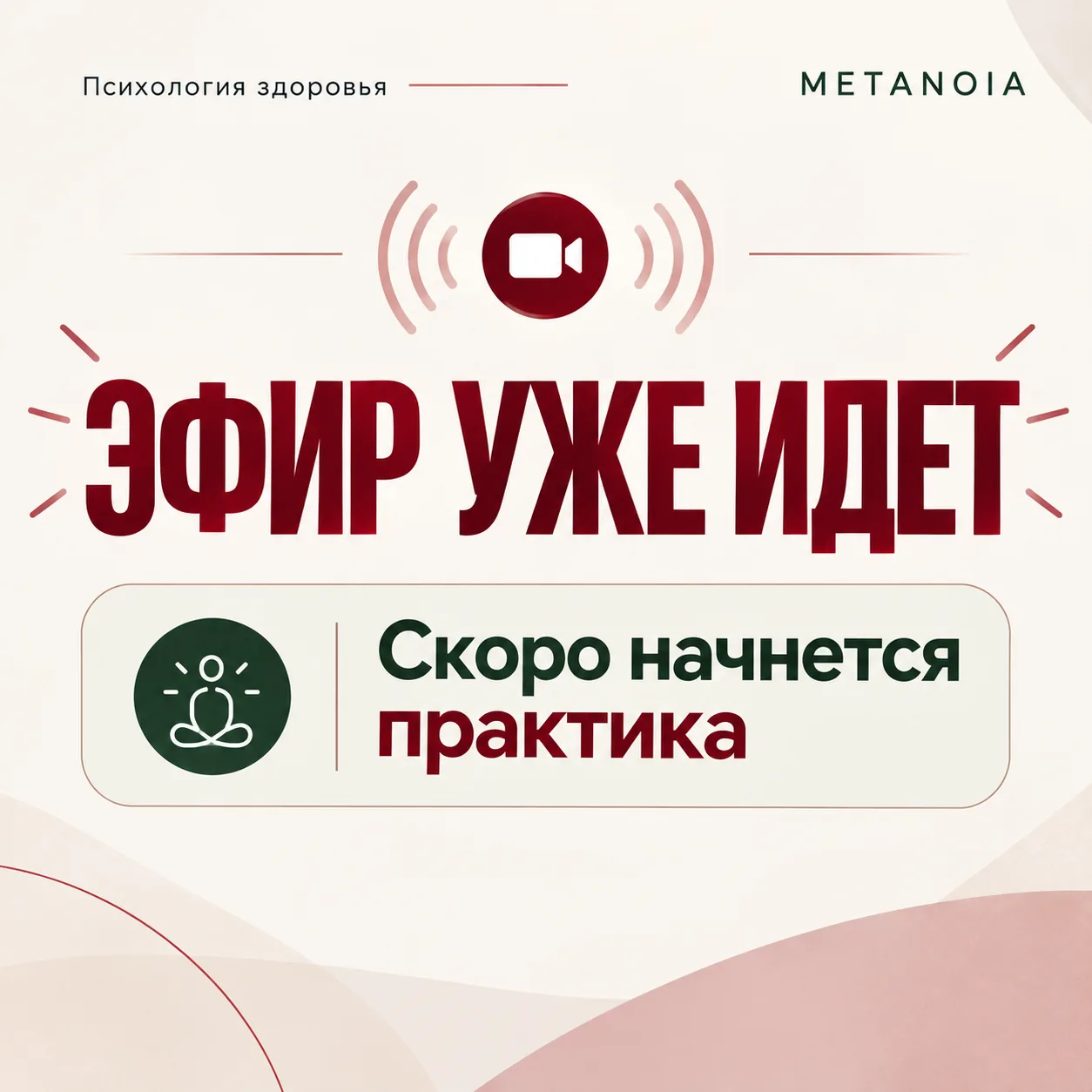 🔴 МЫ УЖЕ В ПРЯМОМ ЭФИРЕ! ❤️