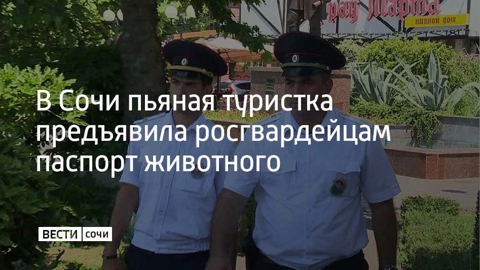 Пьяная приезжая из Челябинской области устроила конфликт в кафе в Хостинском районе Соч...