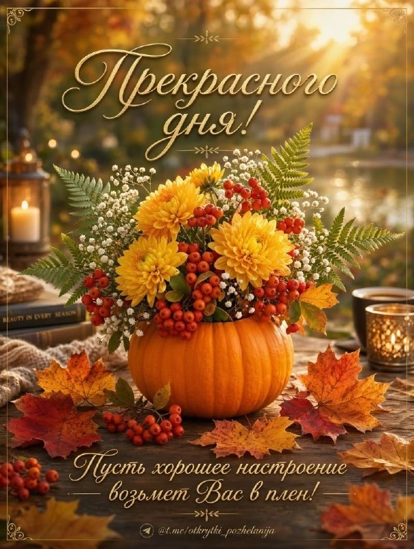 Открытки: подписаться ❤️