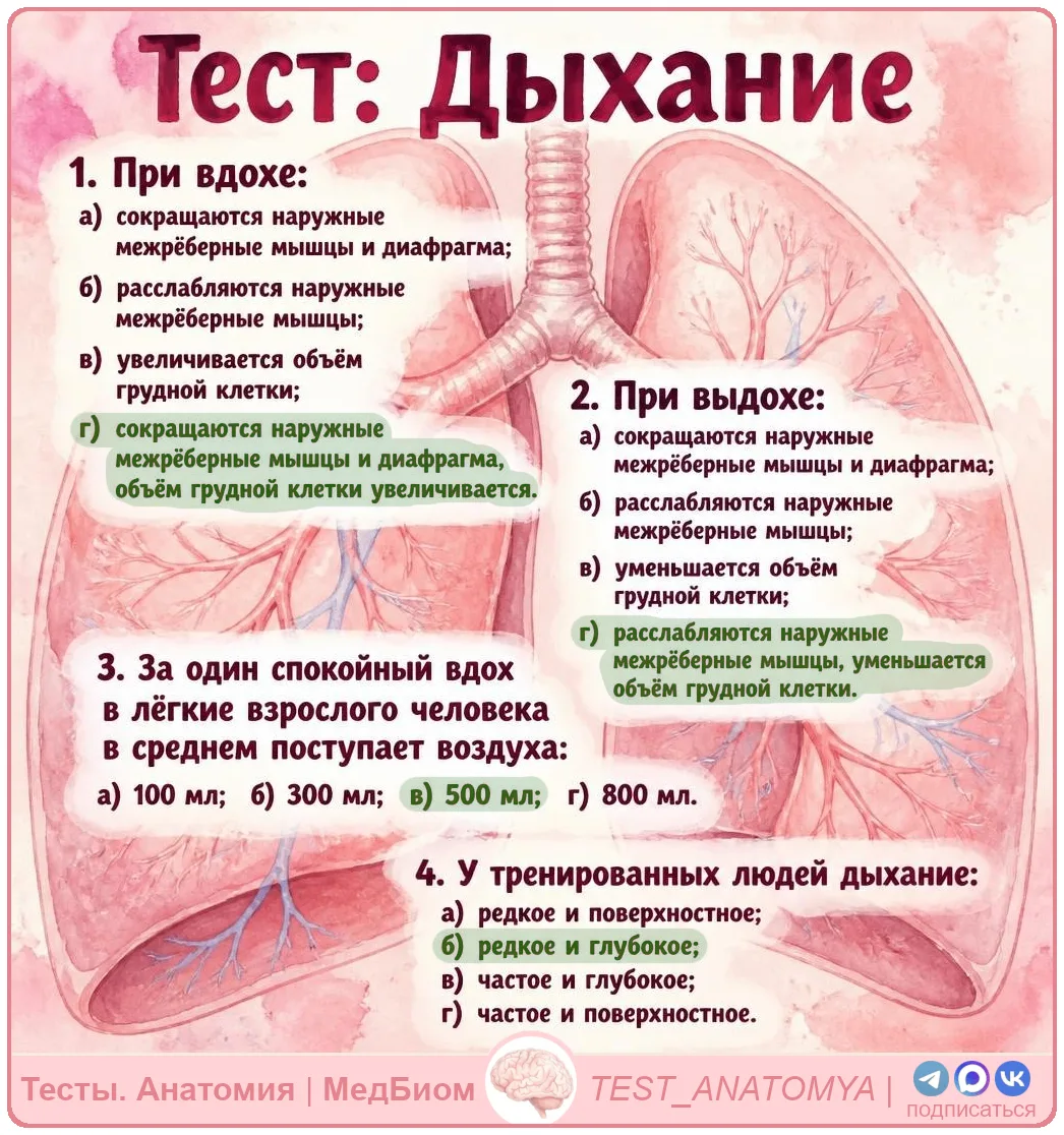 ⬆️ Ответы на вопросы