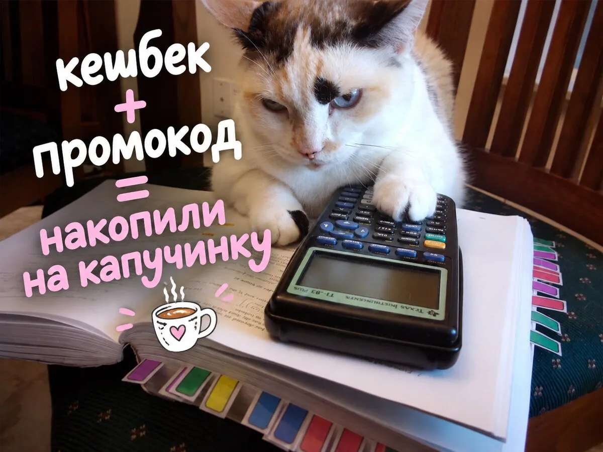 Она ушла в декрет и начала считать вообще всё