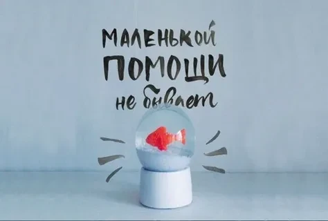 Друзья, у нас осталось к сбору 9.328 рублей.