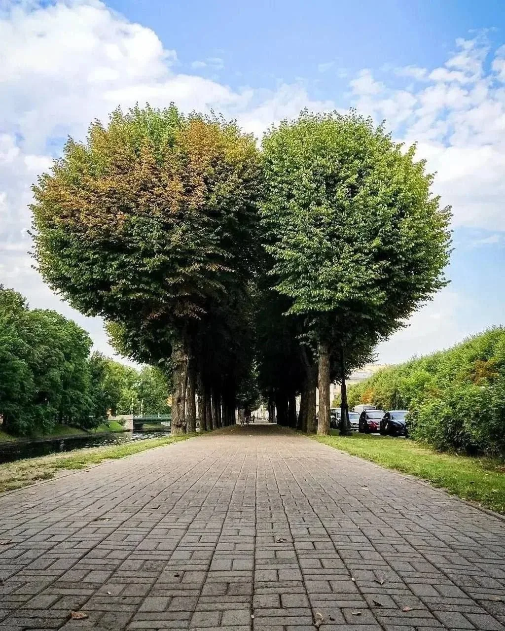 ❤ Аллея в форме сердца у Мойки
