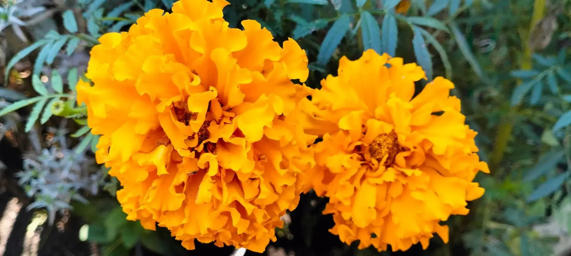 🌺Лето ушло, но повод для цветочного настроения остался!