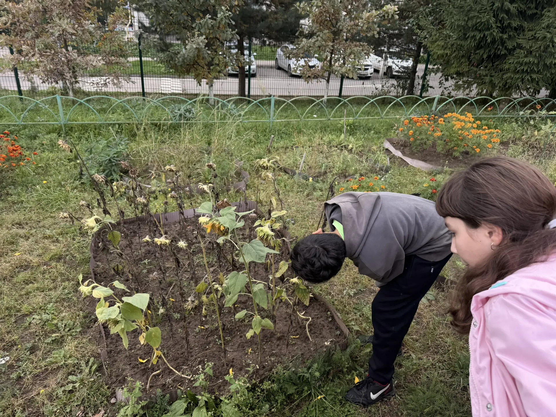 🌾 Экскурсия юных экологов МОУ СОШ №50: знакомство со школьным огородом 🌾