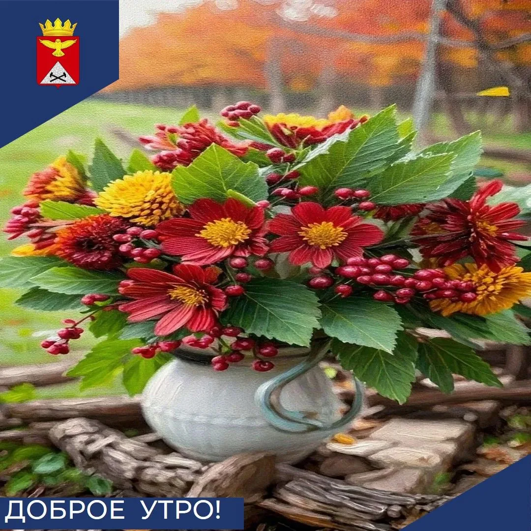 Доброе утро, Юргамышский округ! 🍁☀️Пятница, 16 октября, встречает нас приятной погодой...