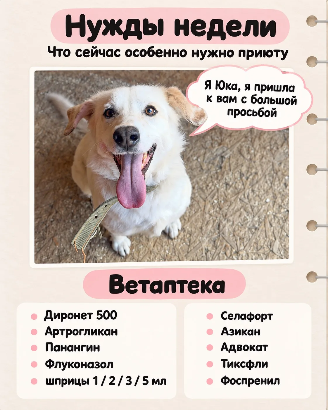 Друзья, хвостикам очень нужна ваша помощь!