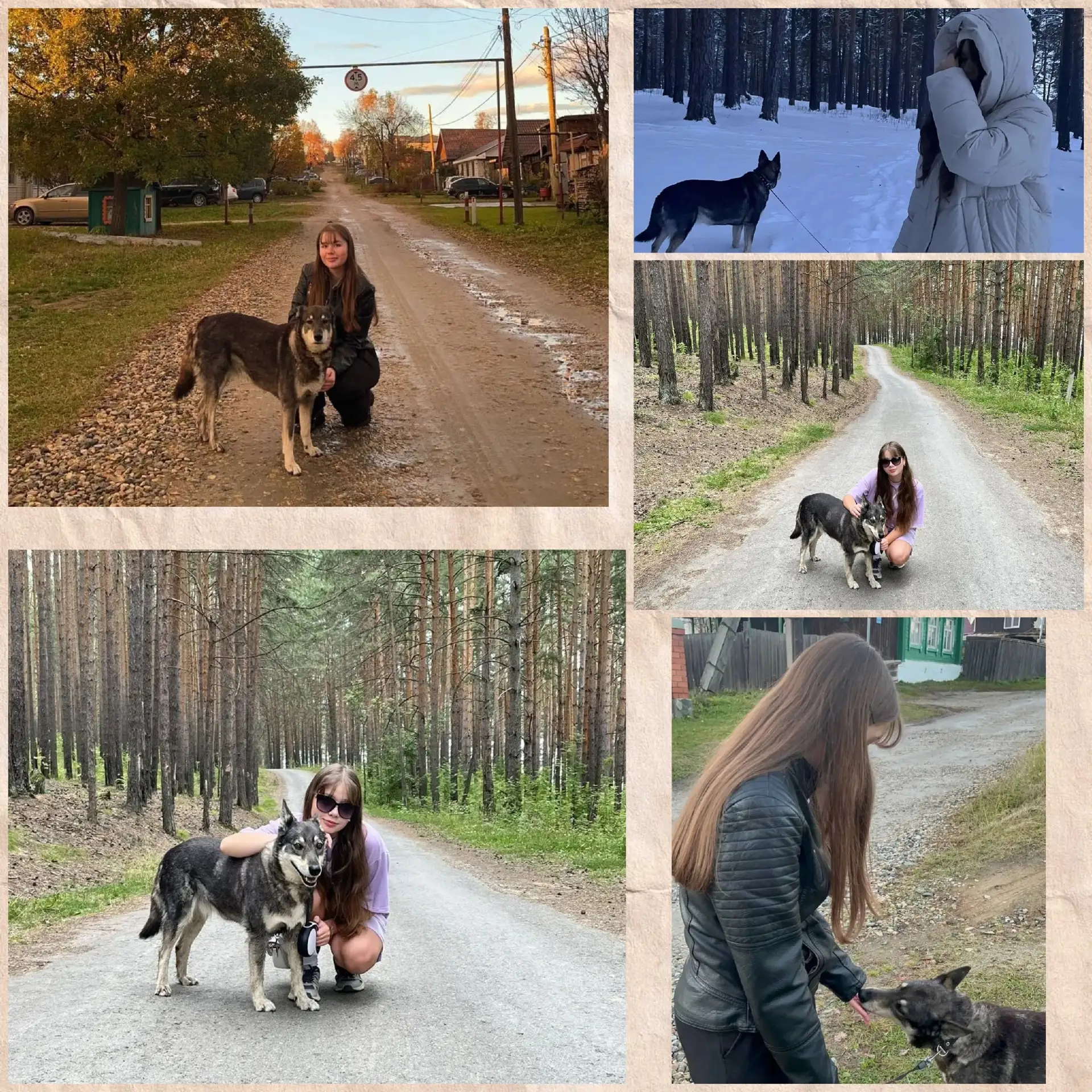Мой самый верный друг — Дина 🐾