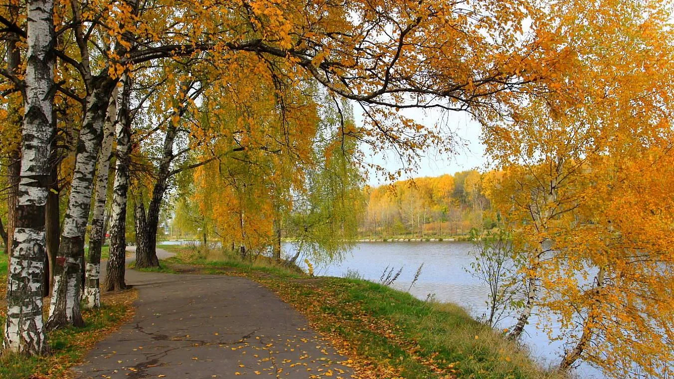 Денёк октябрьский золотой,