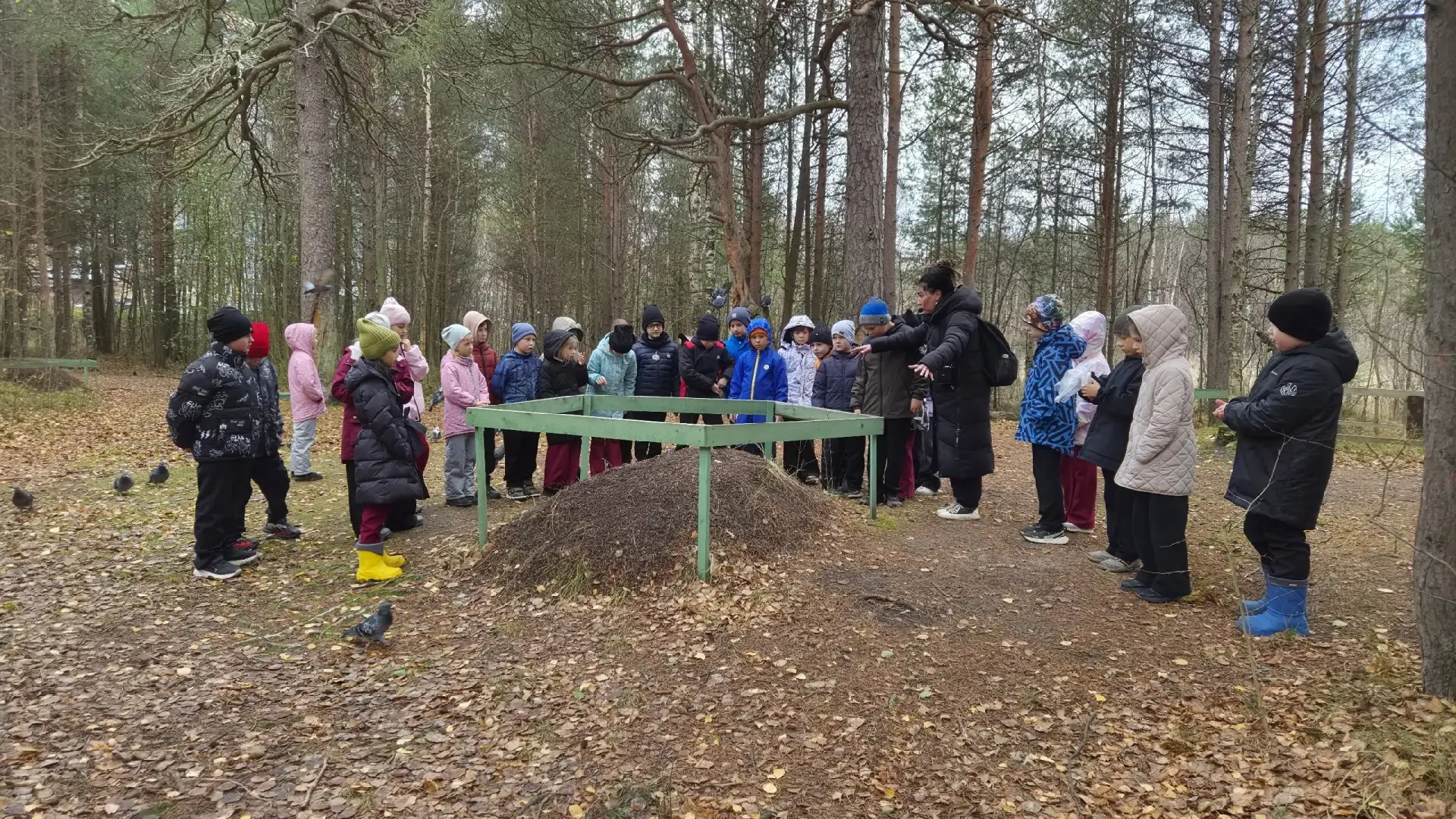 🌿🌳В рамках экологического просвещения учащиеся 2А класса посетили Большую Ягринскую т...