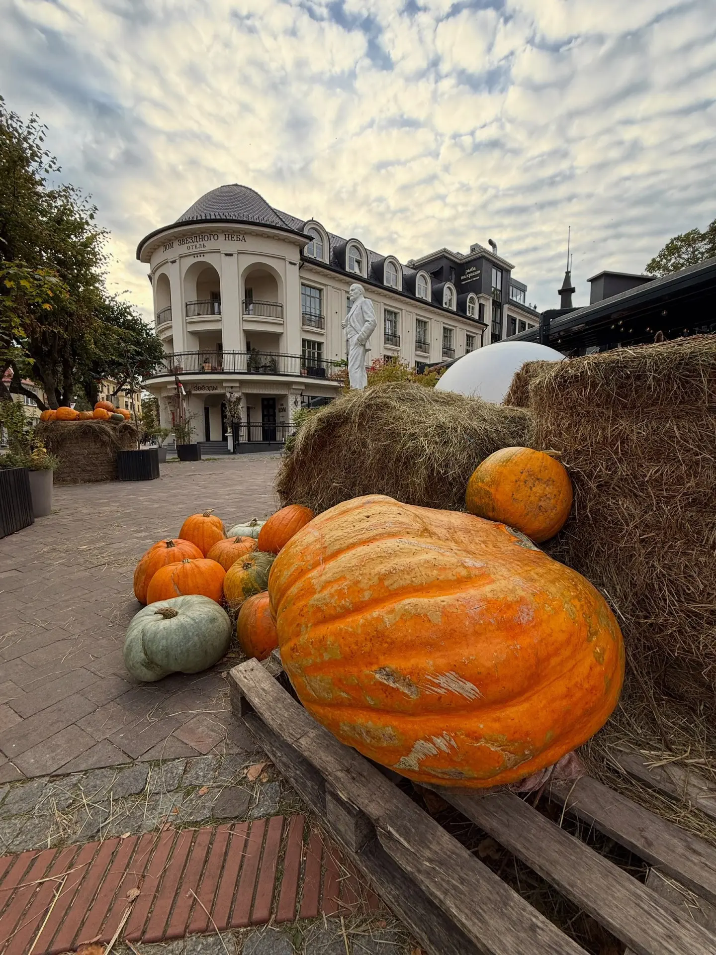 Яркие краски октября 🍁🎃