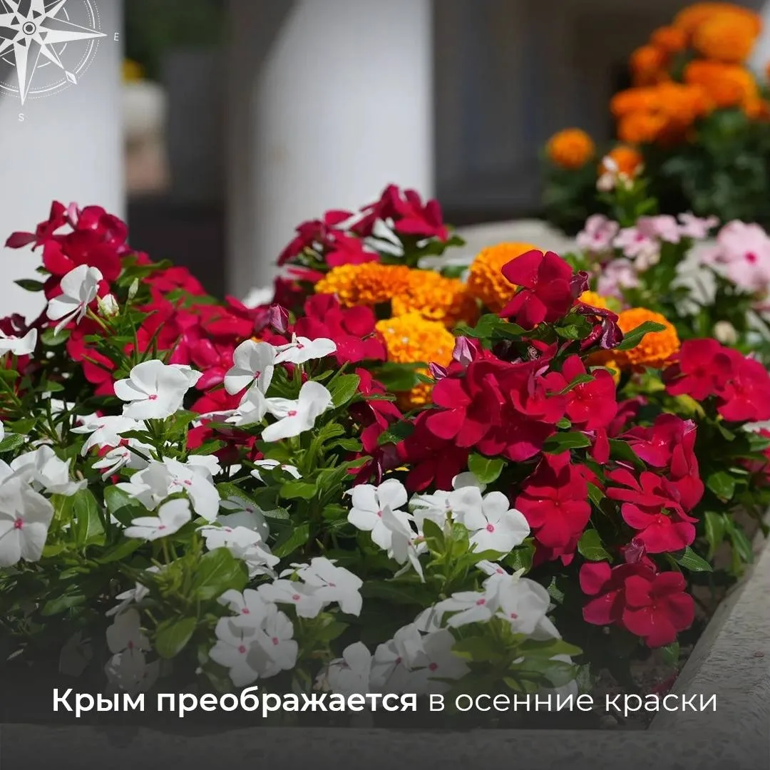 С приходом осени города полуострова утопают в ярких красках 🔥😍