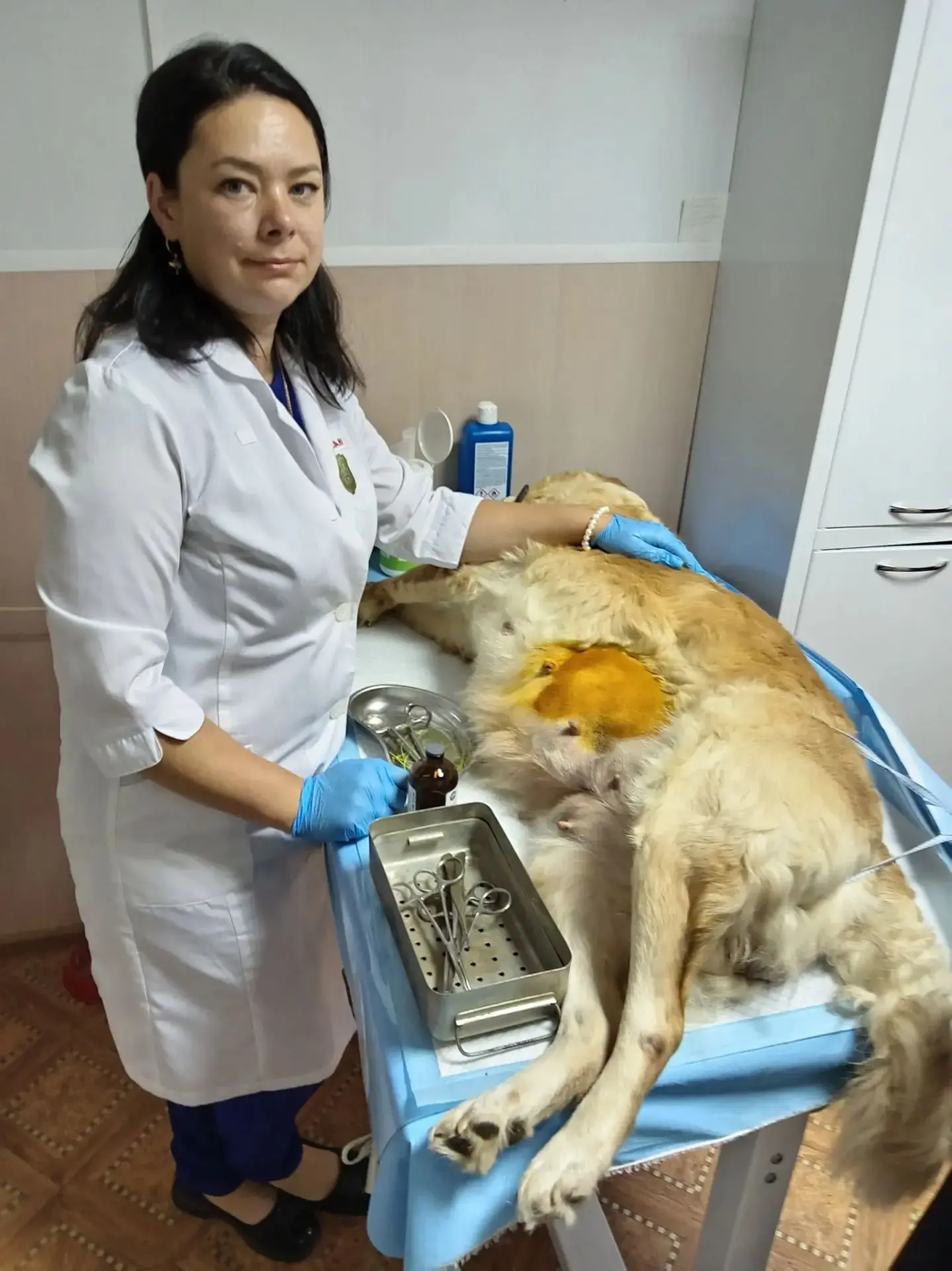 Вот такая большая красотуля на приёме 🥰