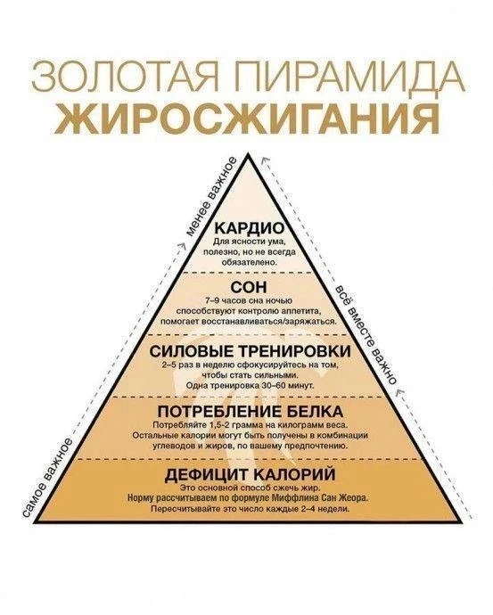 Пирамида жиросжигания