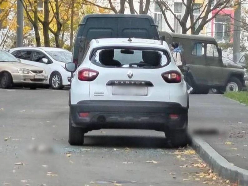 😭 В Москве мужчина выбросил трёх кошек с 20-го этажа