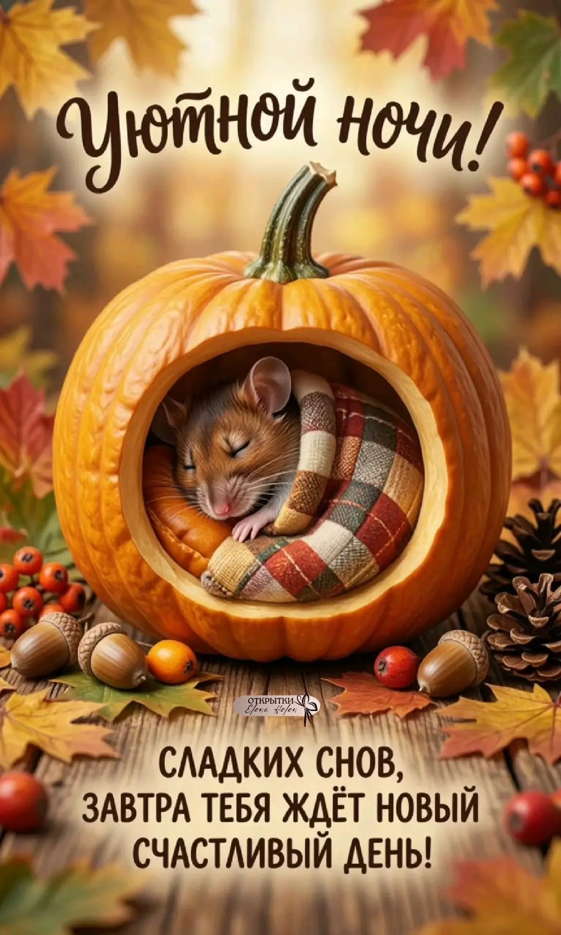 Вечерние интересные открытки 🧡🤎🧡