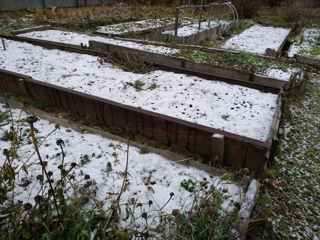 С наступлением холодов не забудьте о подзимних посевах! В конце октября или начале нояб...