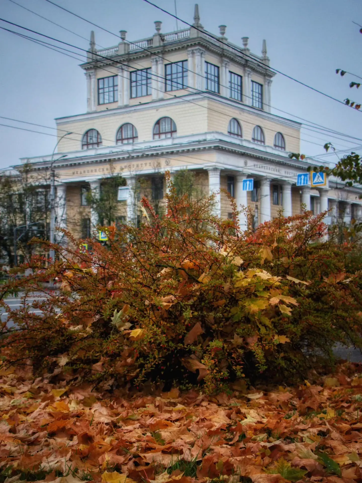 🍂 У осени свой язык — шорох листьев и тишина в душе.