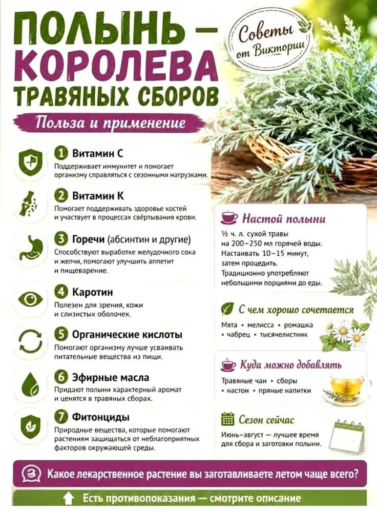 ▪️Полынь