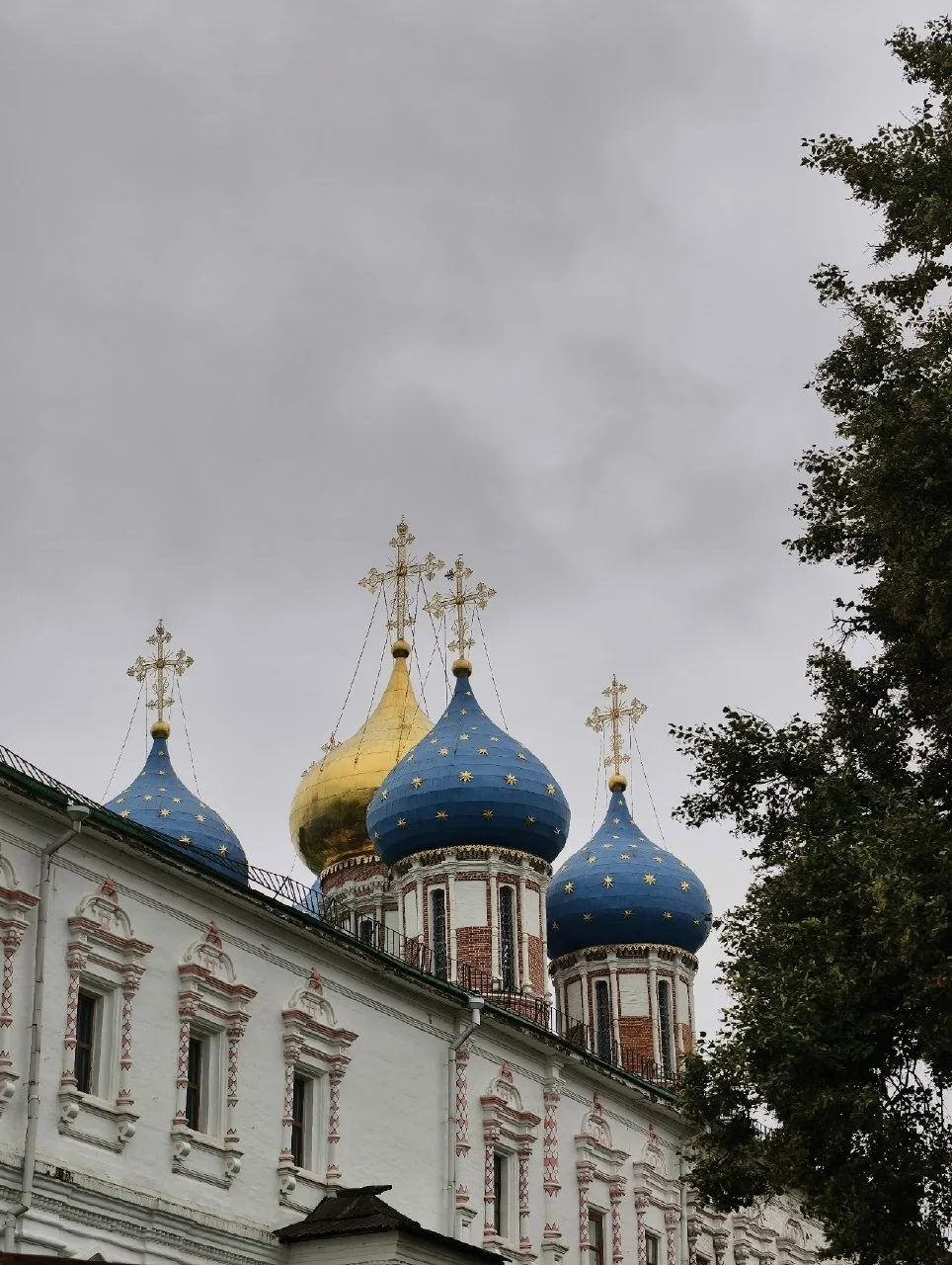 До чего они прекрасны...