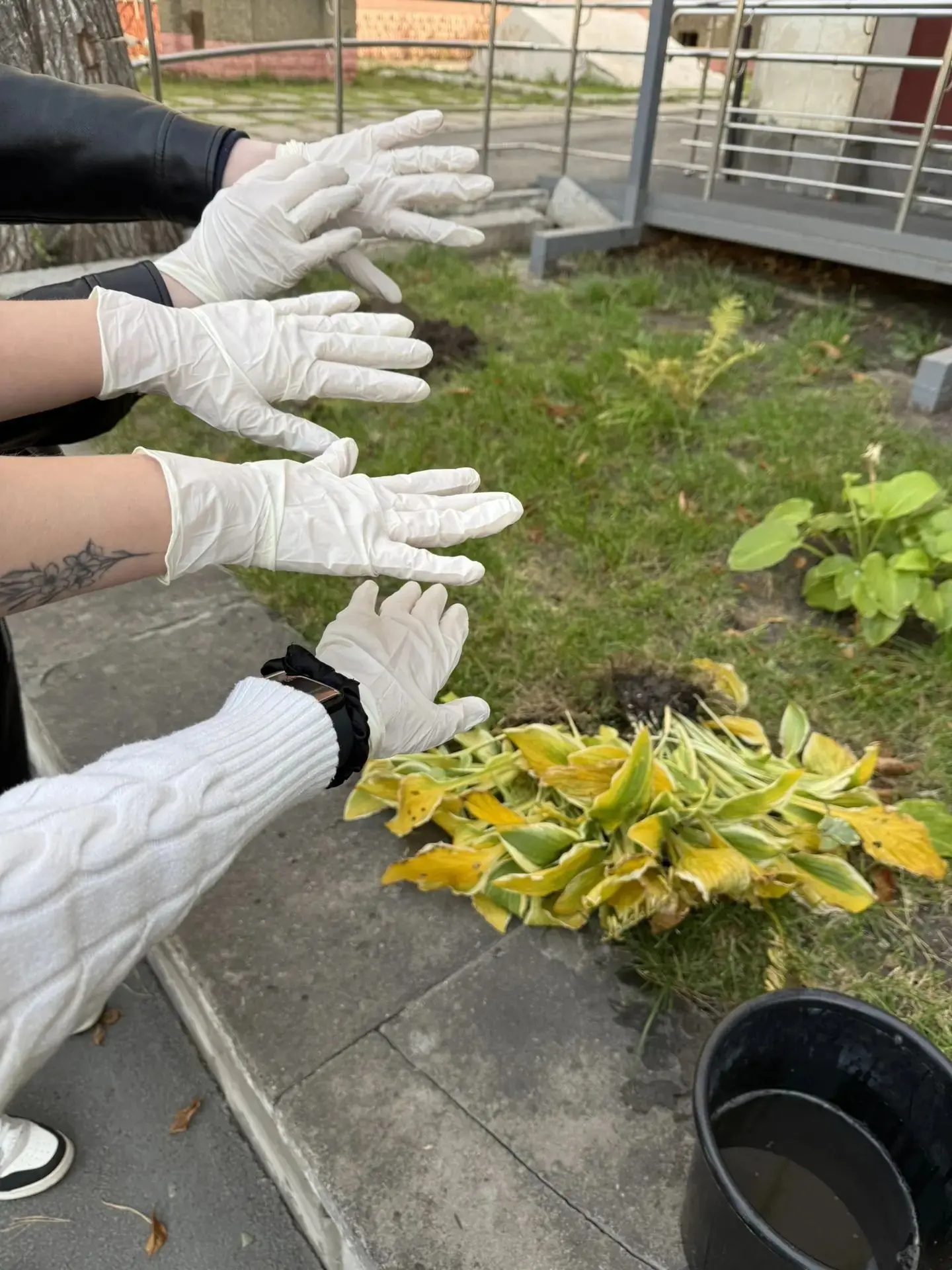 Субботник — это не только работа, но и отличный способ сплотиться! 🤝🌿