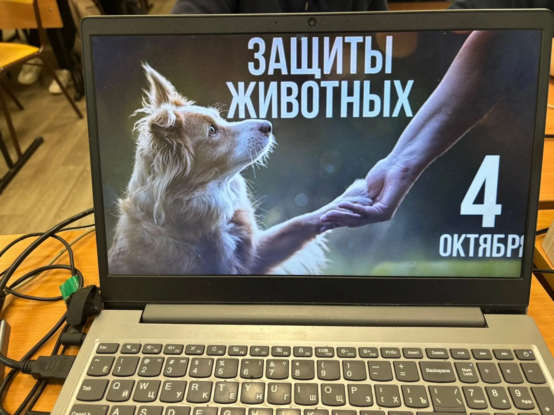 🐕 В нашей школе успешно прошла акция «Добрый маршрут», направленная на воспитание у уч...
