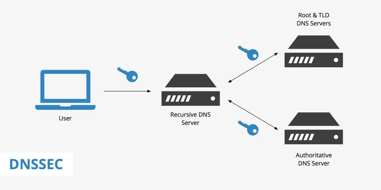 ❗️Самописный DNSSEC-валидатор на Go