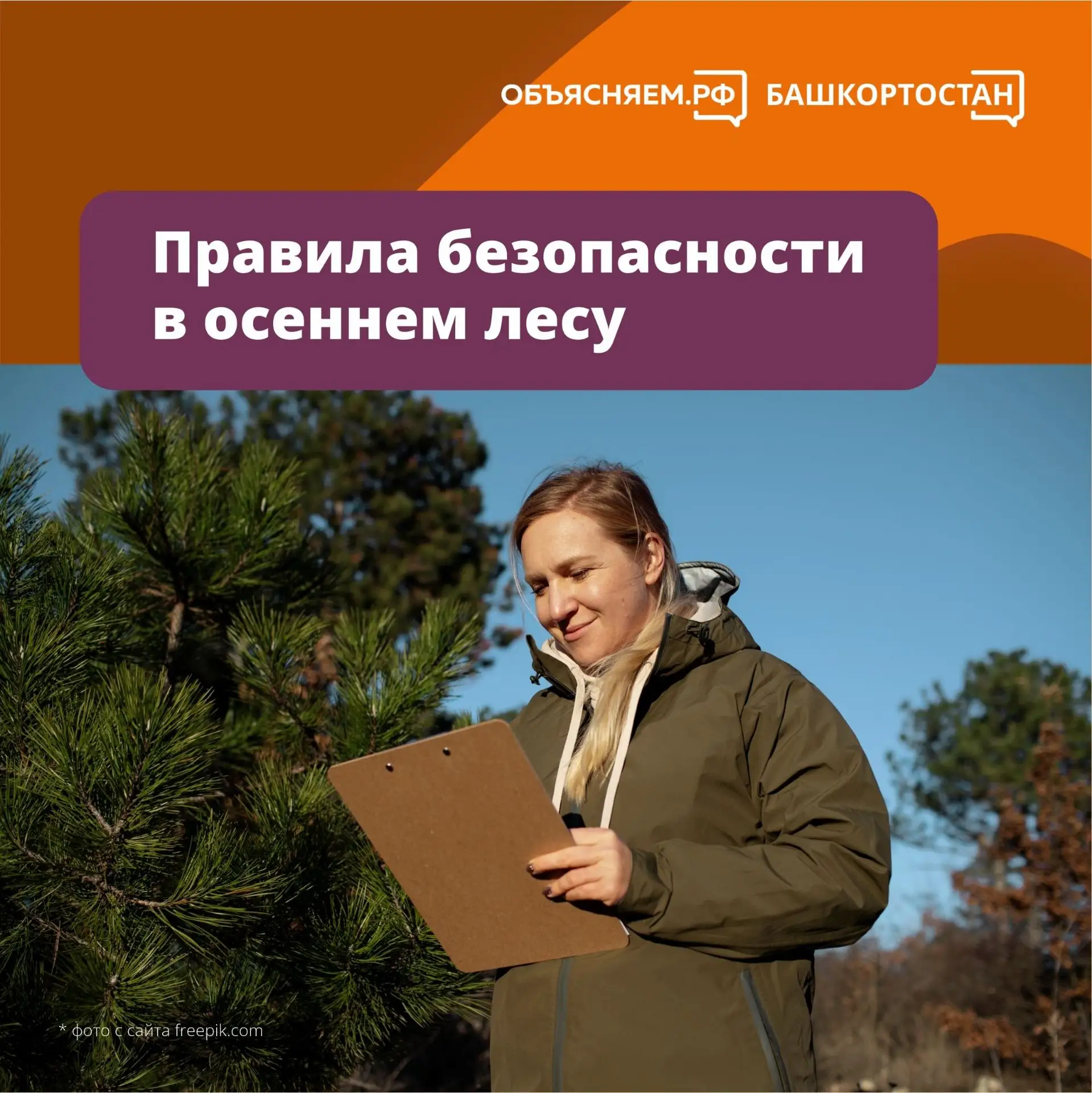 Собираетесь в лес? Возьмите с собой эти советы