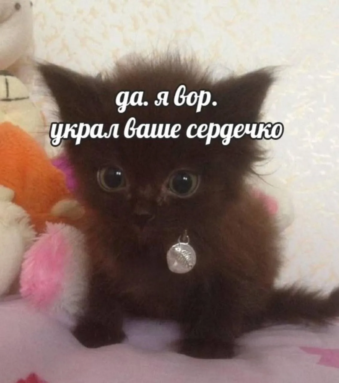 Мемы каждый день • Подписаться
