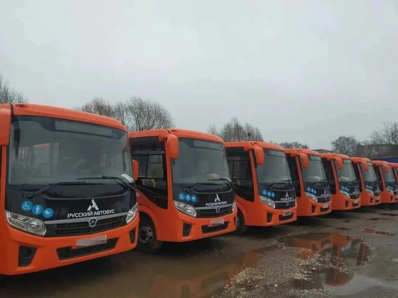 🚌 Нижний Новгород получил 25 новых автобусов