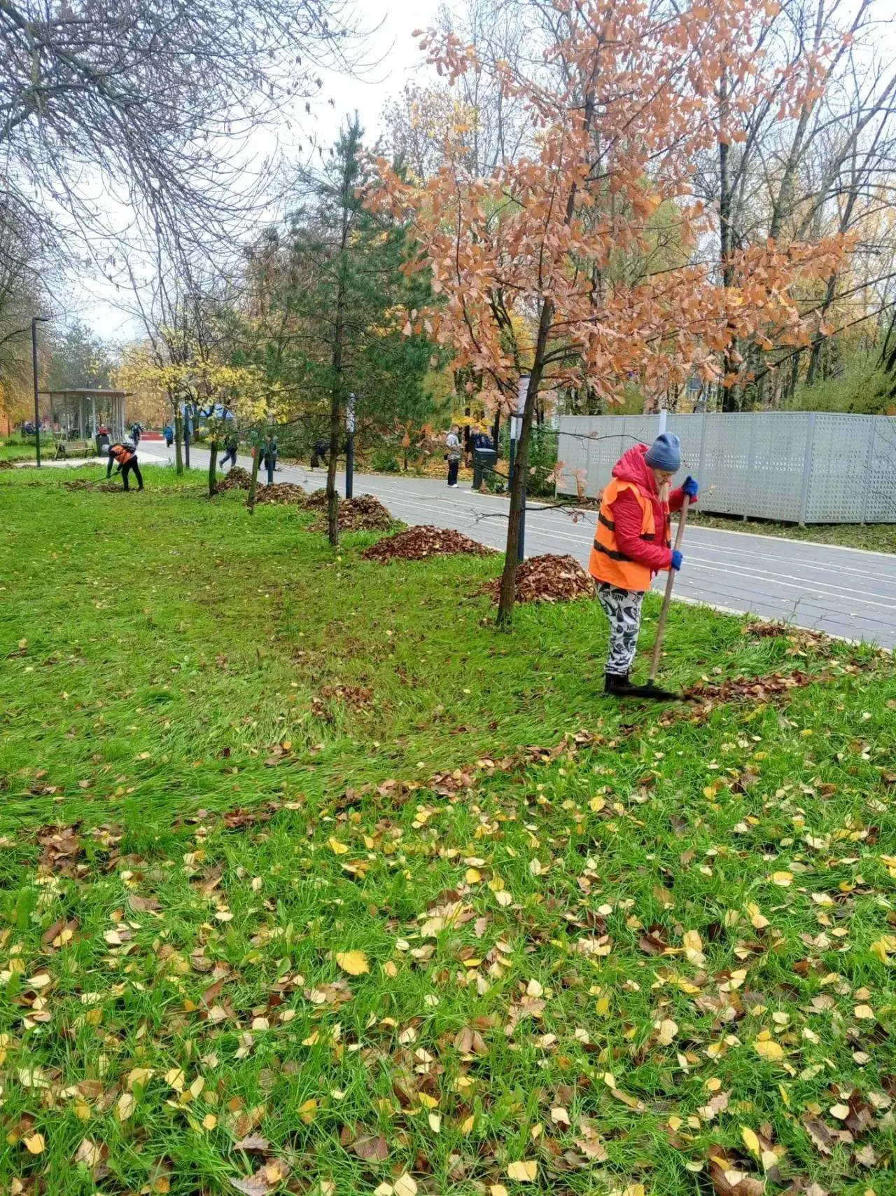 За сутки из Вологды вывезли 12 кубометров смёта и 74 кубометров листвы