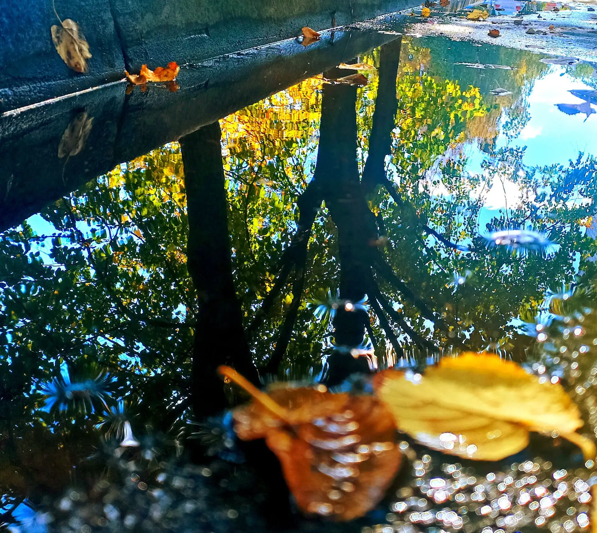 🍂 На Кубань идут дожди и похолодание: летнее тепло отступает.