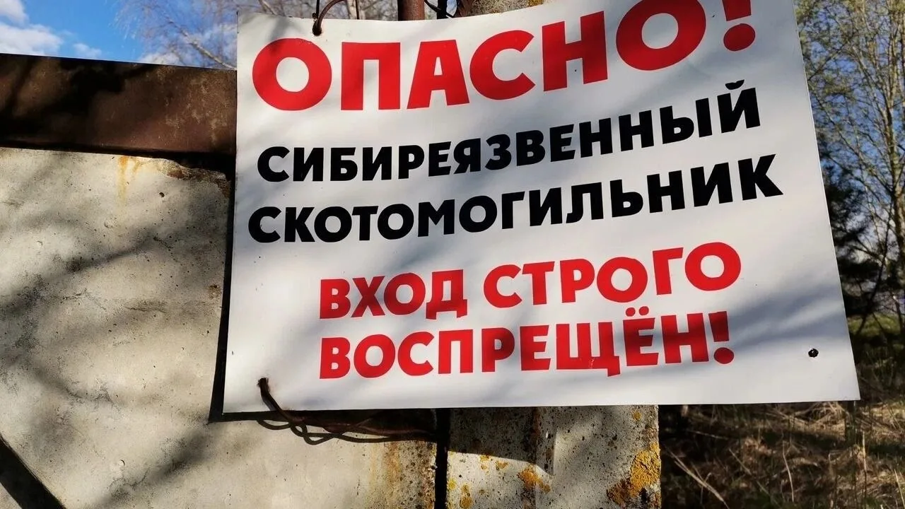 Пятнадцатый арбитражный апелляционный суд рассмотрел жалобу Донского государственного в...