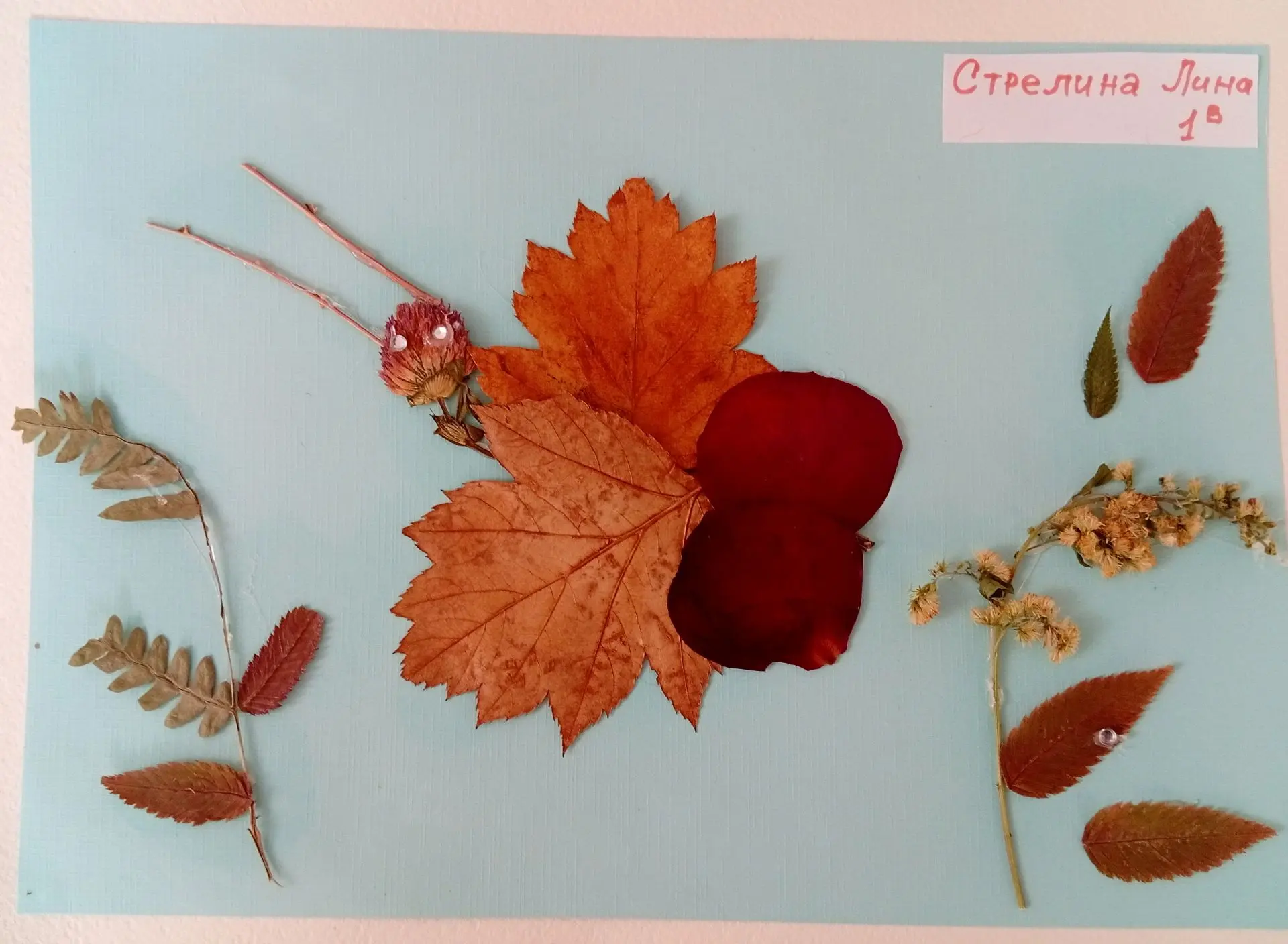 У кого есть осенние поделки, поделитесь!🍁🍁🍁