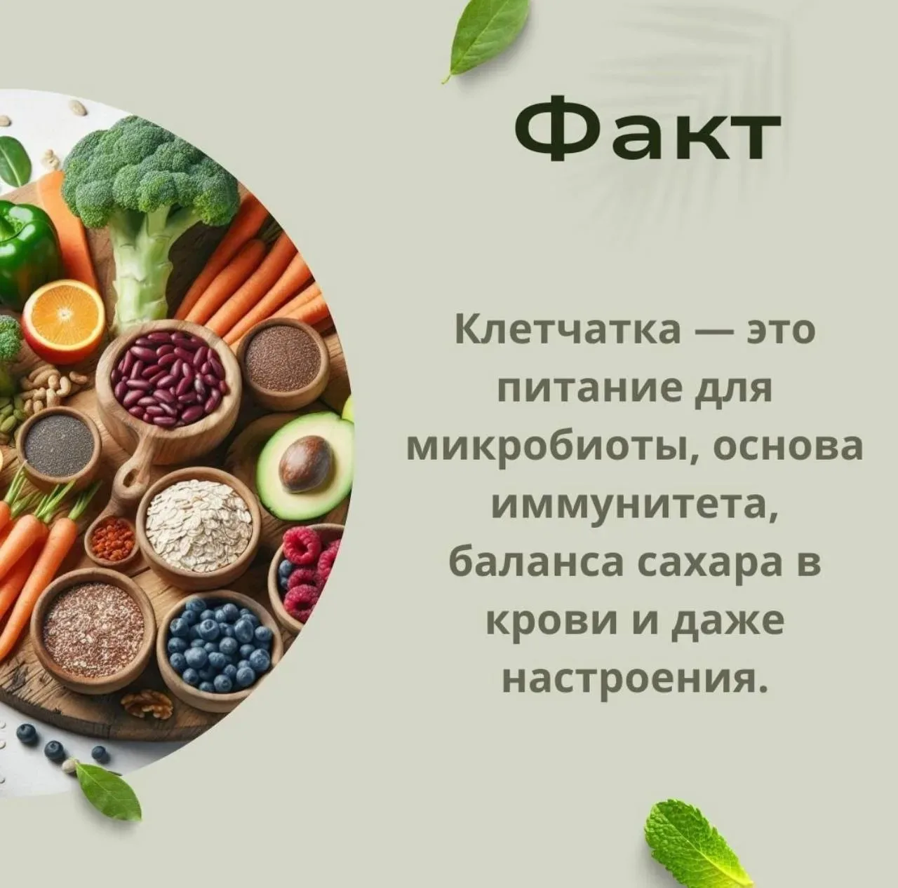 🥗 Клетчатка в вашем рационе: секрет стройности!