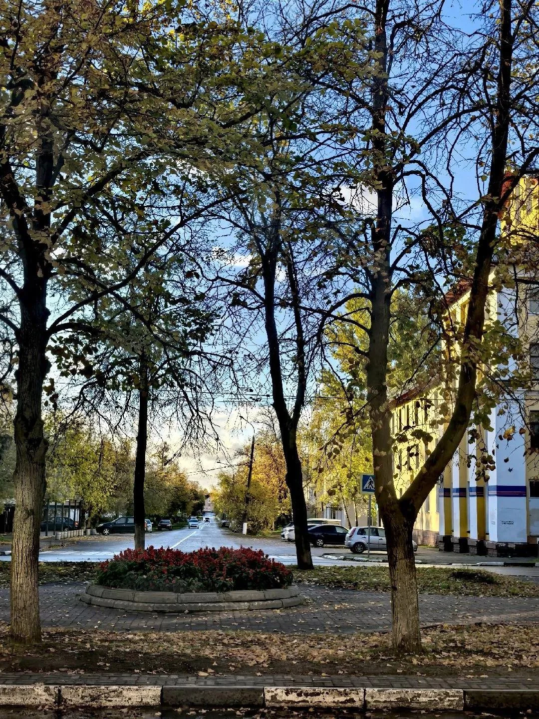 Наша красота 😻