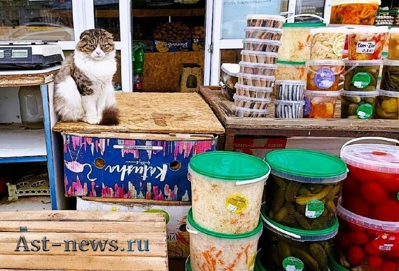 Астраханские разносолы подорожали на 30–35% с начала года