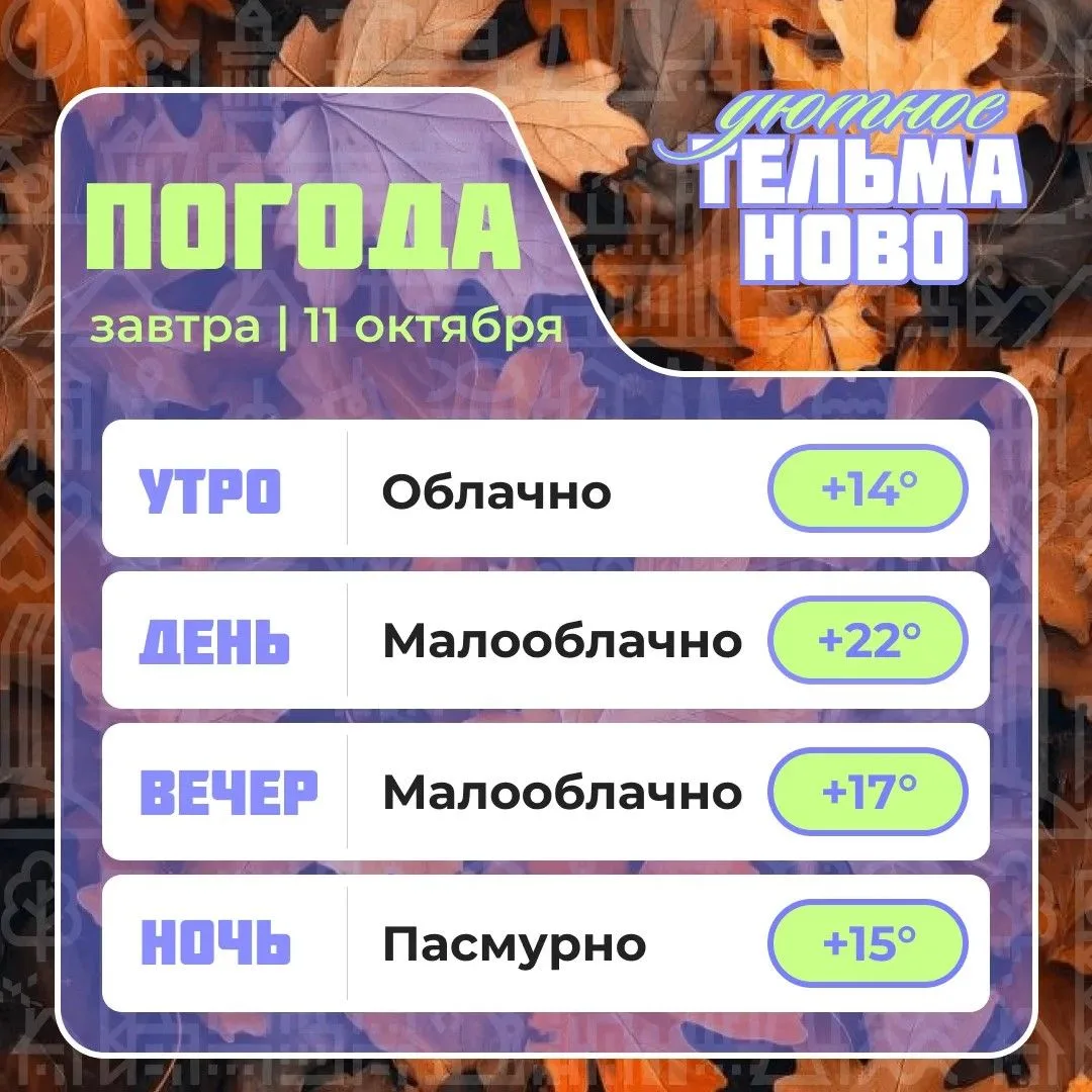 Ваш гид по погоде на завтра🌡