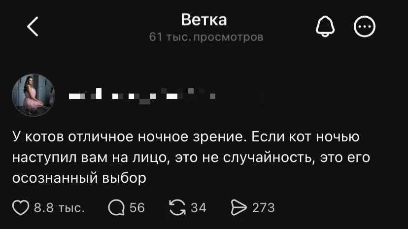 1000% я в этом уверена😁