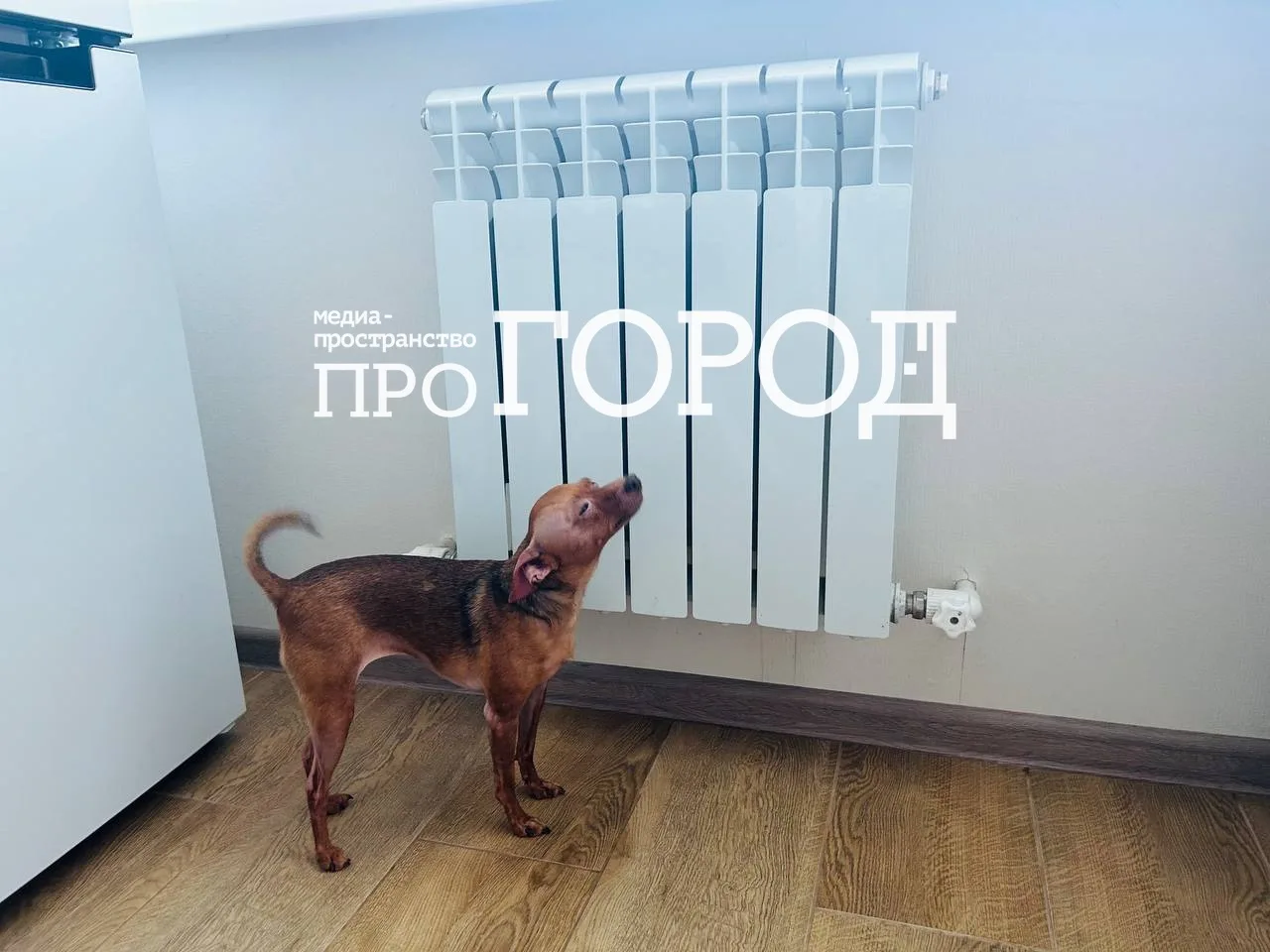 🌡 Тепло уже поступило в 1 224 многоквартирных дома Пензы
