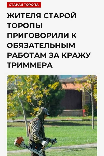 Западнодвинский межрайонный суд Тверской области признал 48-летнего жителя поселка Стар...