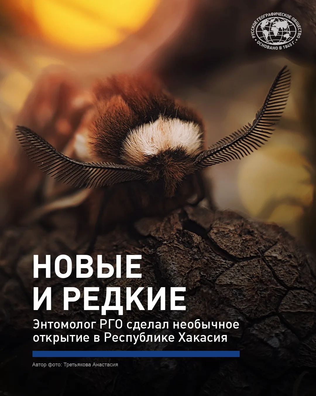 ⚡️Энтомолог РГО совершил открытие в Хакасии