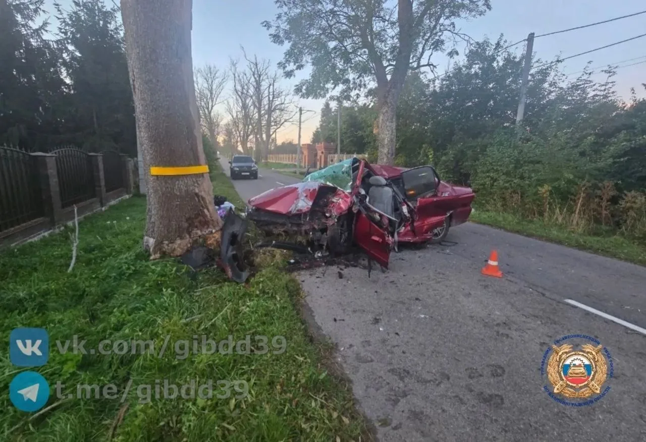 💥 Подросток на Mercedes врезался в дерево в Зеленоградском районе