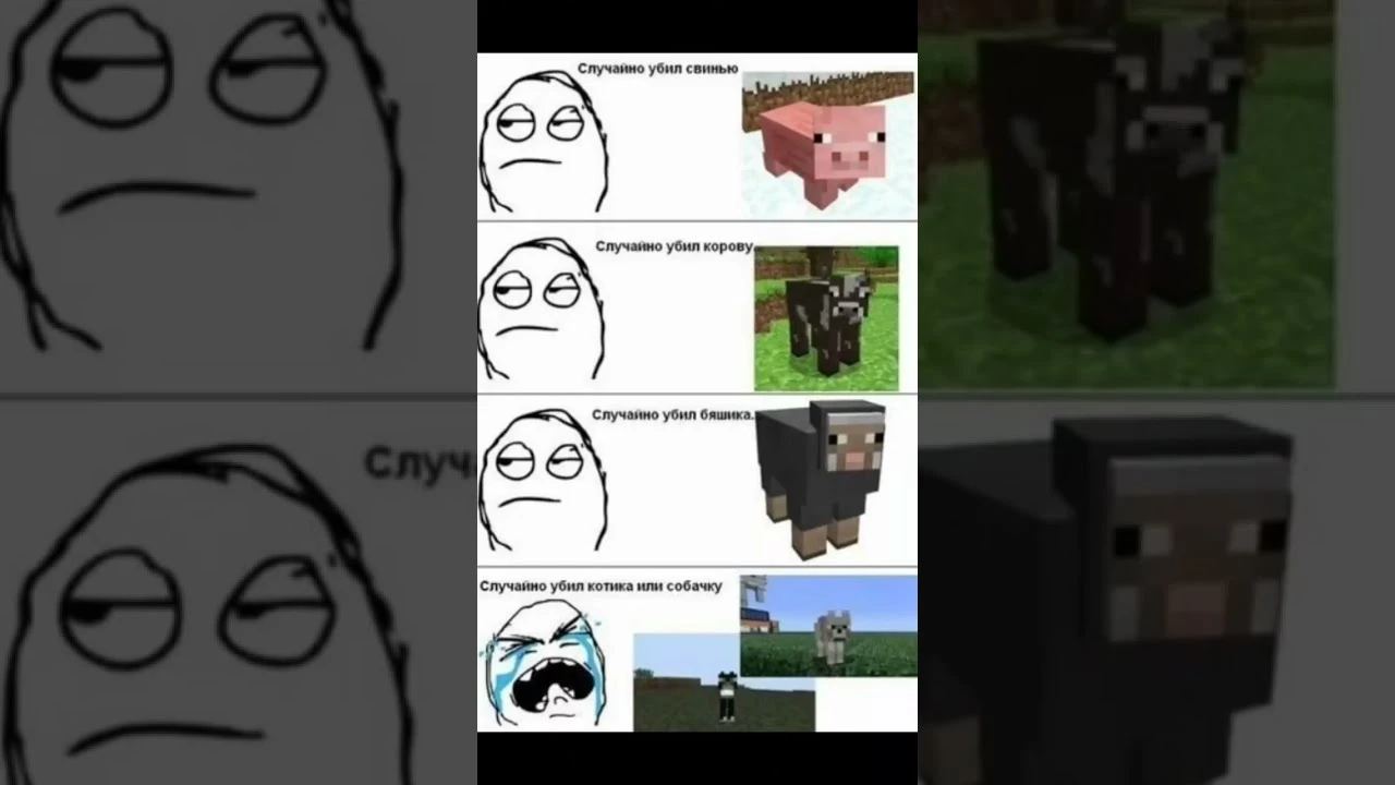 🤣