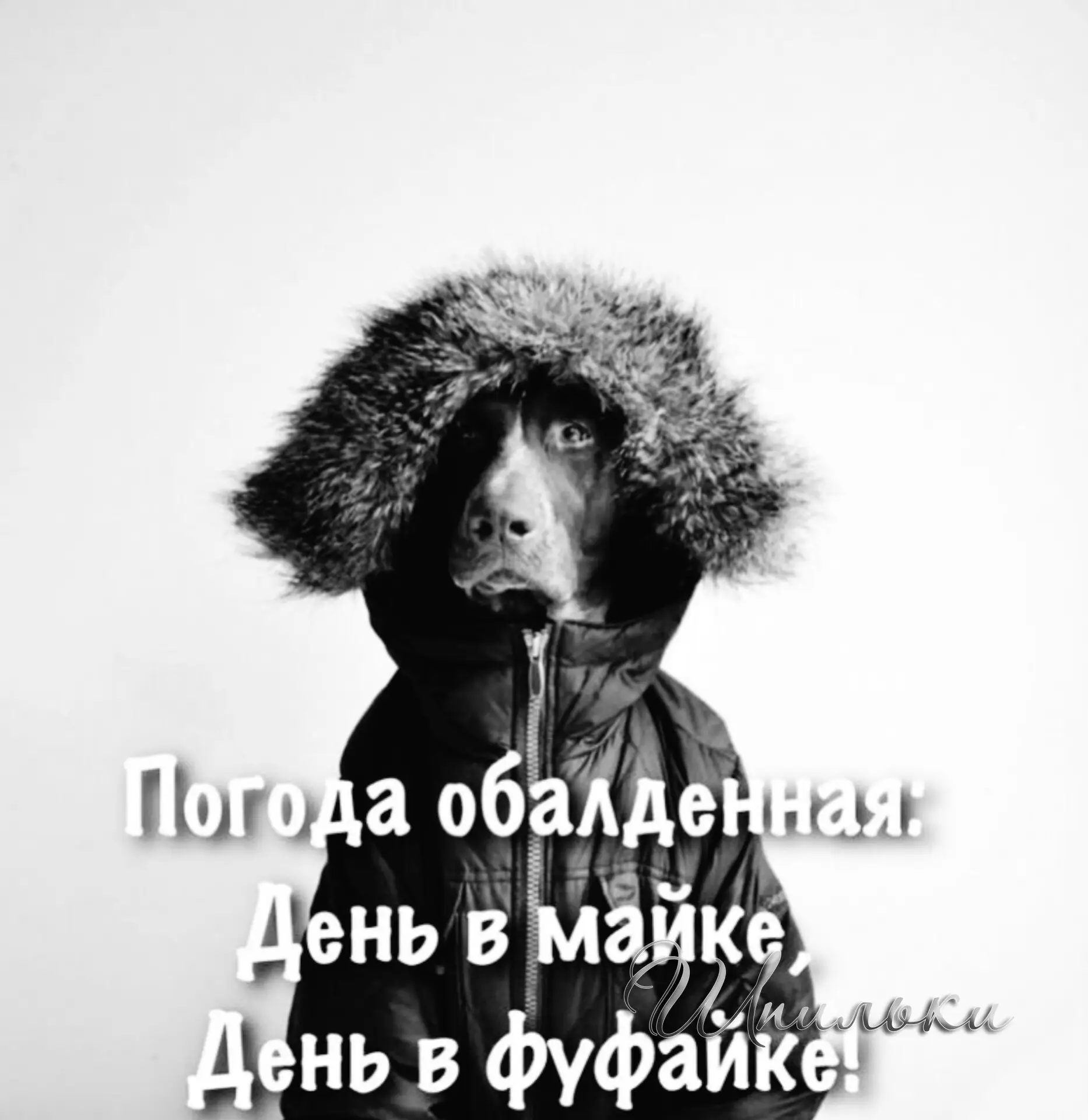 Пoсмoтрела погоду - "ясно"... Вышла на улицу - "понятно"...