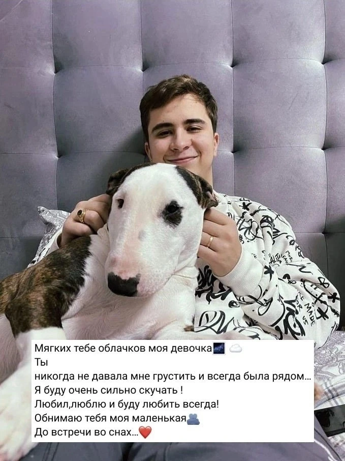 У Ramil ушла из жизни любимая собака — бультерьер Маня. Ей было всего 6 лет, и последне...