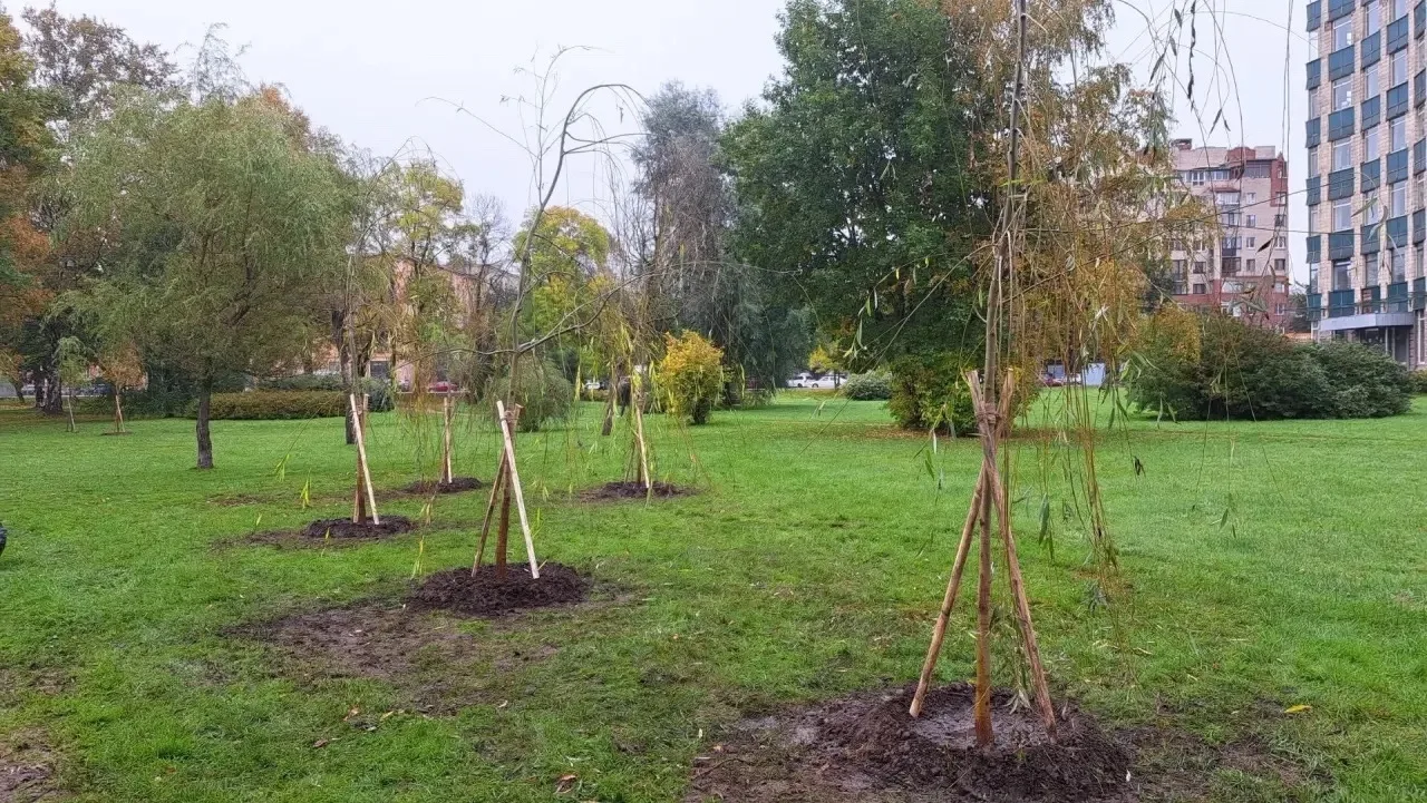 🌳 Месячник благоустройства: делаем Выборгский район зеленее! 🪏